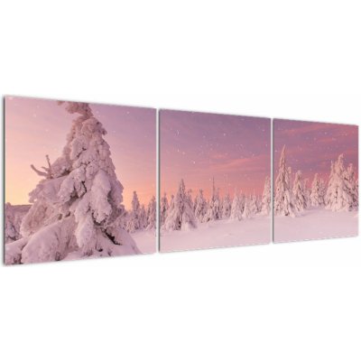 Obraz - Stromy pod sněhovou přikrývkou, třídílný 150x50 cm – Hledejceny.cz