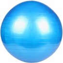 Merco Gym ball 55cm