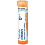EUPATORIUM PERFOLIATUM POR 15CH GRA 1X4G – Hledejceny.cz