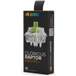 Glorious Raptor Switches lubrikované 36 ks – Zboží Živě