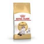 Royal Canin Ragdoll Adult 400 g – Hledejceny.cz