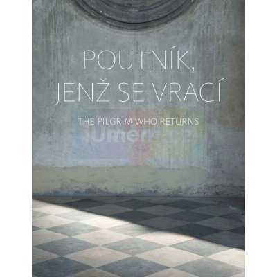 Poutník, jenž se vrací | Richard Drury, Jan Štíbr – Hledejceny.cz