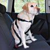 Potřeby pro cestování se psem Trixie Postroj do auta pro psa XL 80 x 110 cm