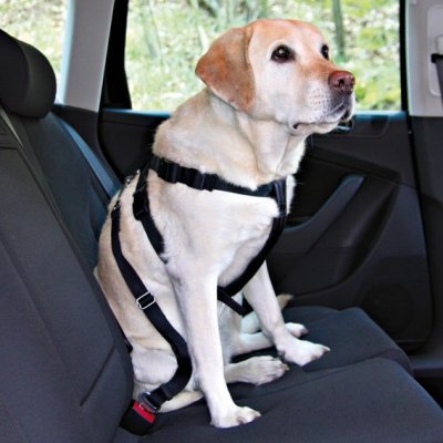 Trixie Postroj do auta pro psa XL 80 x 110 cm – Zboží Mobilmania
