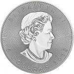 Royal Canadian Mint Stříbrná mince Canadian Maple Leaf 1 oz – Sleviste.cz
