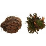 Lucky Reptile Rose of Jericho 50 g FP-64210 – Hledejceny.cz