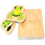 Montessori Životní cyklus žáby – Zbozi.Blesk.cz