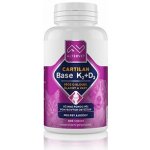 Altervet Cartilan Base K2+D3 135 g 100 tbl – Hledejceny.cz