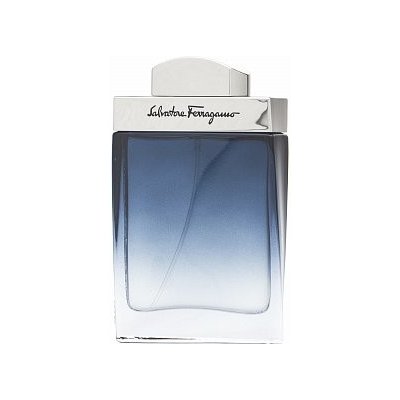 Salvatore Ferragamo Subtil Pour Homme toaletní voda pro muže 50 ml