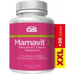 GS Mamavit 1 Plánování a 1.trimestr 110 tablet – Hledejceny.cz