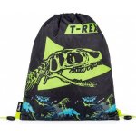 Karton P+P T rex 3-05822 – Hledejceny.cz