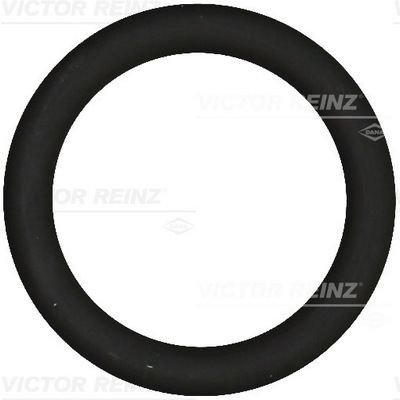 Těsnění, koleno sacího potrubí VICTOR REINZ 40-76919-00 | Zboží Auto