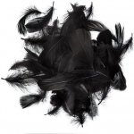 DP Craft Peří černé 10 gr. 5-12 cm – Sleviste.cz