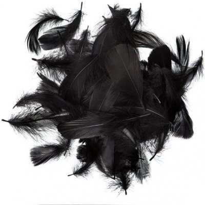 DP Craft Peří černé 10 gr. 5-12 cm – Sleviste.cz