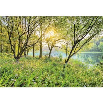 Komar 8-524 Fototapeta Spring Lake Rozměr 368 x 254 cm