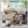 Kalendář Adorable Cats Liebenswerte Katzen 16-Monats 2024