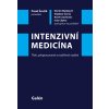 Elektronická kniha Intenzivní medicína