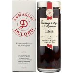 Pruneaux Armagnac 18% 0,7 l (karton) – Zboží Dáma