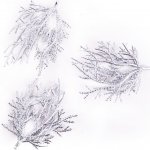 Stříbrná vánoční větvička 3 ks – Zboží Dáma