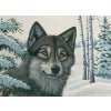 Malování podle čísla Royal Langnickel Malování podle čísel Vlk v zimě