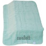 Scarlett Španělská deka 517 zelená – Hledejceny.cz