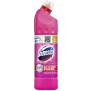 Domestos 24H Plus desinfekční a čisticí přípravek Tutti Frutti 750 ml