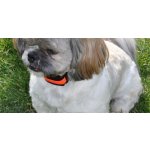 DogTrace d-control 1510 mini – Hledejceny.cz