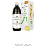 NefdeSanté Aloe s ananasem 500 ml – Hledejceny.cz