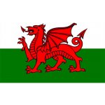 Vlajka Fostex Wales 1,5x1 m – Hledejceny.cz