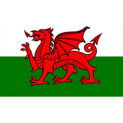 Vlajka Fostex Wales 1,5x1 m – Hledejceny.cz