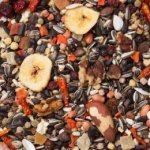 Deli Nature 20 Serengeti 2 kg – Zboží Mobilmania