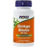 Now Foods Ginkgo Biloba 60 mg 120 kapslí – Hledejceny.cz