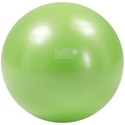 Gymnic plus 55 cm – Zbozi.Blesk.cz