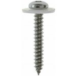 Profi Depot Parapetní vrut, ø 3,9 × 25 mm, drážka: TX15, 100 ks 4024506266421 – Hledejceny.cz