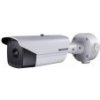 IP kamera Hikvision DS-2TD2136-15/V1