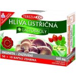 Terezia Company Hlíva ústřičná + laktobacily + vitamin C 60 kapslí – Hledejceny.cz
