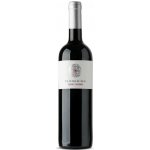 Terre di Rai Cabernet Sauvignon IGT 12% 0,75 l (holá láhev) – Zboží Dáma