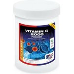 EQUINE AMERICA Vit C Powder 1 kg – Hledejceny.cz