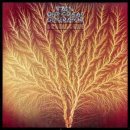 Van Der Graaf Generator - Still Life CD