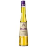 Galliano 30% 0,7 l (holá láhev) – Zboží Dáma