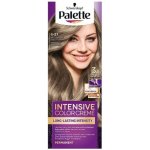 Palette Intensive Color 8-21 světlý popelavý plavý 50 ml – Zboží Mobilmania