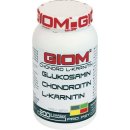 GIOM ERA Chondro L-karnitin 400 g