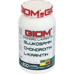 Giom Chondro L-karnitin 400 g – Hledejceny.cz