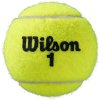 Tenisový míček Wilson ROLAND GARROS ALL COURT 3 ks