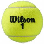 Wilson ROLAND GARROS ALL COURT 3 ks – Zbozi.Blesk.cz