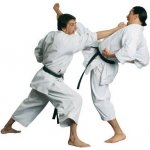 Hayashi karate gi TENNO ELITE – Sleviste.cz