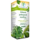 AgroBio Zelené pokojové rostliny (KP) 100 ml koncentrát