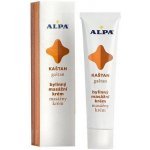 Alpa bylinný masážní gel Kaštan 100 ml – Zboží Dáma