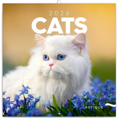 NOTIQUE Poznámkový Kočky 30 x 30 cm 2026 – Sleviste.cz