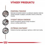 Royal Canin Veterinary Diet Dog Gastrointestinal Can 400 g – Zbozi.Blesk.cz